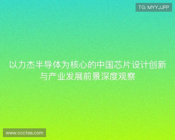 以力杰半导体为核心的中国芯片设计创新与产业发展前景深度观察